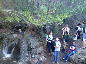 waterfall hike 014