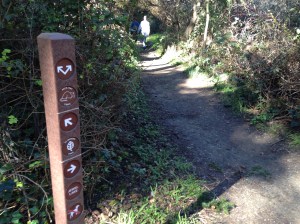 wildcat canyon trail 002