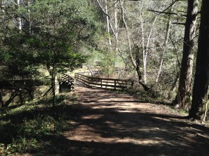 wildcat canyon trail 003