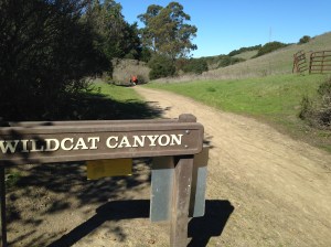 wildcat canyon trail 004