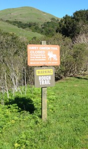 wildcat canyon trail 005
