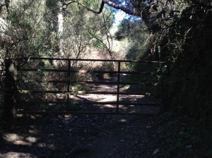 wildcat canyon trail 014