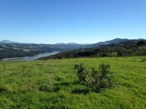 wildcat canyon trail 029