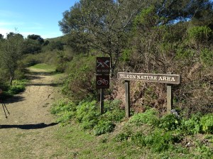 wildcat canyon trail 031