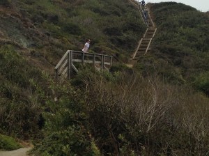 batteries to bluffs 100