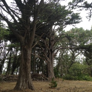 batteries to bluffs 129